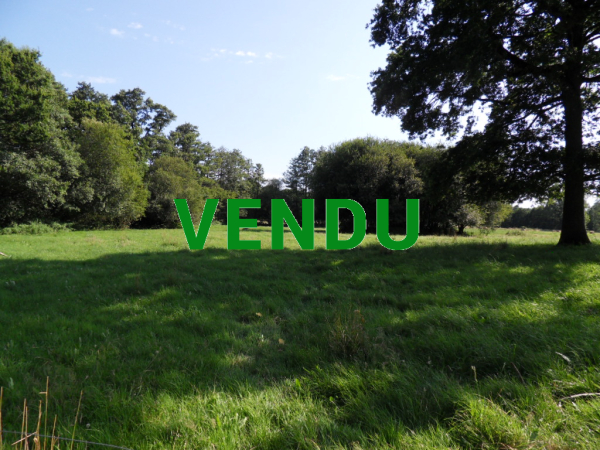 Corps de ferme avec ses nombreuses dépendances et environ 4 ha 5